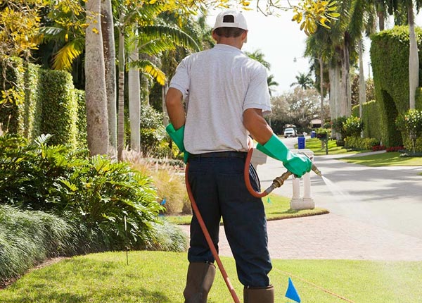 About Manitou Springs CO Pest Control